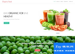 健康有機(jī)蔬菜果汁店網(wǎng)站模板-HTML5模板