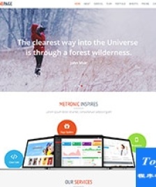 軟件開發(fā)互聯(lián)網(wǎng)公司企業(yè)html5模板