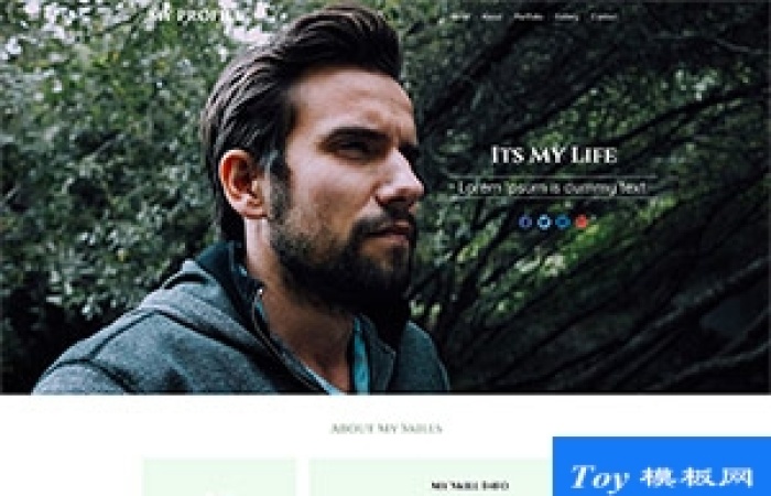 its My Life工程師web簡歷Html5模板-Toy模板網(wǎng)編號19615