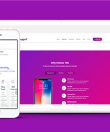 簡約企業(yè)軟件展示網(wǎng)站模板下載