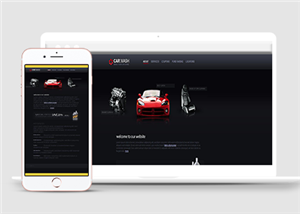 黑色高端精致汽車4s店美容html5模板下載-HTML5模板