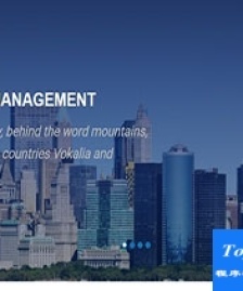 Skytouch高端單頁(yè)企業(yè)管理響應(yīng)式布局網(wǎng)站模板-HTML5模板