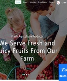 Fruit Farm水果采摘農(nóng)家樂引導式單頁網(wǎng)站模板