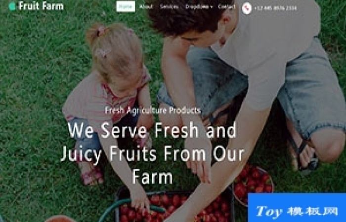 Fruit Farm水果采摘農(nóng)家樂(lè)引導(dǎo)式單頁(yè)網(wǎng)站模板-Toy模板網(wǎng)編號(hào)17358