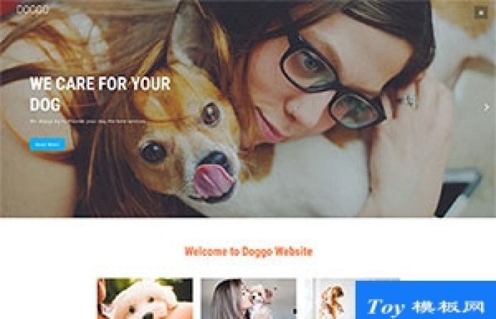 愛犬俱樂部企業(yè)網(wǎng)站模板-Toy模板網(wǎng)編號18217