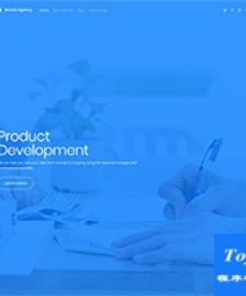 藍(lán)色大氣背景Development開發(fā)者網(wǎng)頁模板