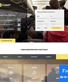 航空公司機(jī)票預(yù)訂企業(yè)官網(wǎng)模板