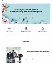 極簡風(fēng)格數(shù)字營銷公司網(wǎng)站HTML5模板-公司企業(yè)