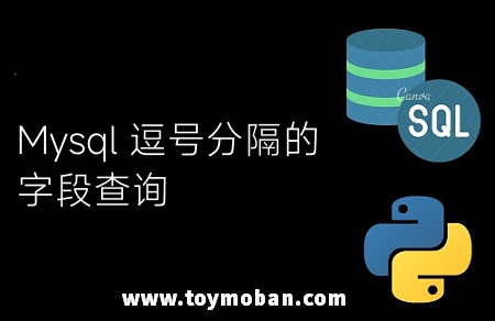 Mysql 逗號(hào)分隔的字段查詢(xún)