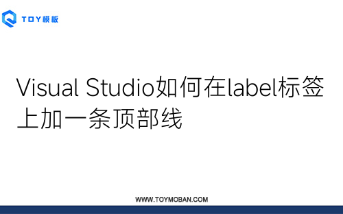 Visual Studio如何在label標簽上加一條頂部線
