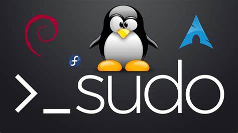 在Linux系統(tǒng)中使用sudo播放流媒體時出現(xiàn)錯誤的解決方法