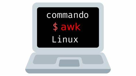 如何使用awk命令在Linux中分析Nginx訪問日志并統(tǒng)計(jì)訪問最多的IP地址